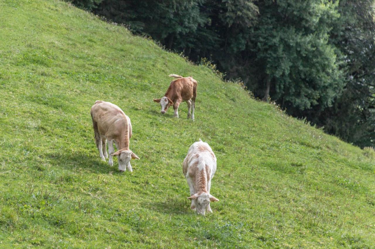 Ferienwohnung Oberrisstraum Schliersee Luaran gambar